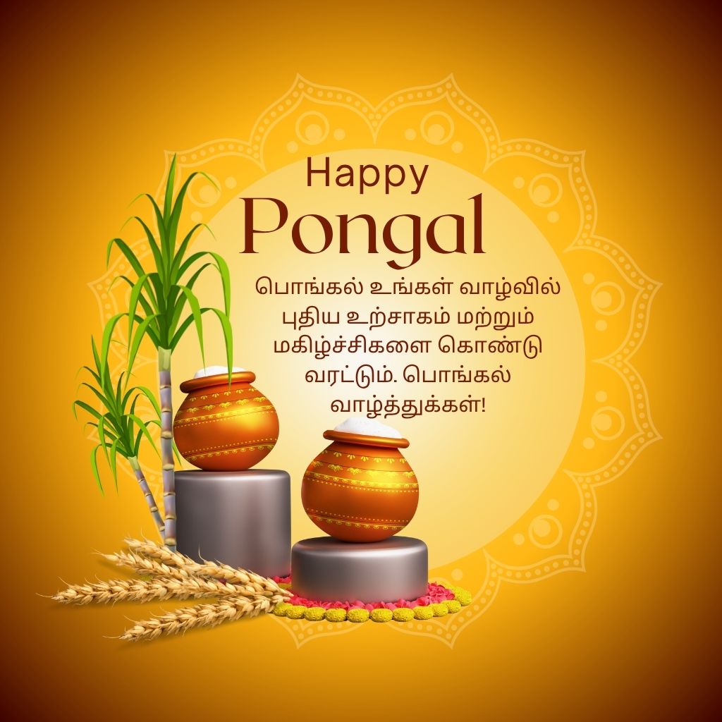 Pongal is a traditional harvest festival celebrated mainly in the Indian state of Tamil Nadu